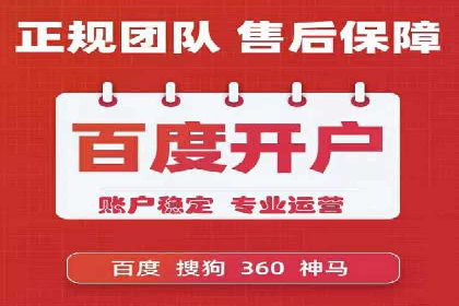 某知名企业SEM营销全案解析